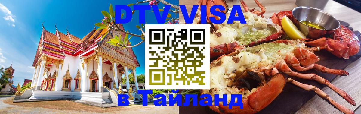 Сколько стоит DTV виза — актуальные цены, оформление даже без документов - Анкара  19.11.2025 